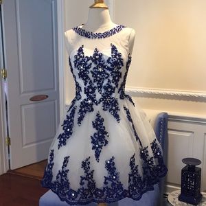 Internationally Designed Unique Item Blue Swan!